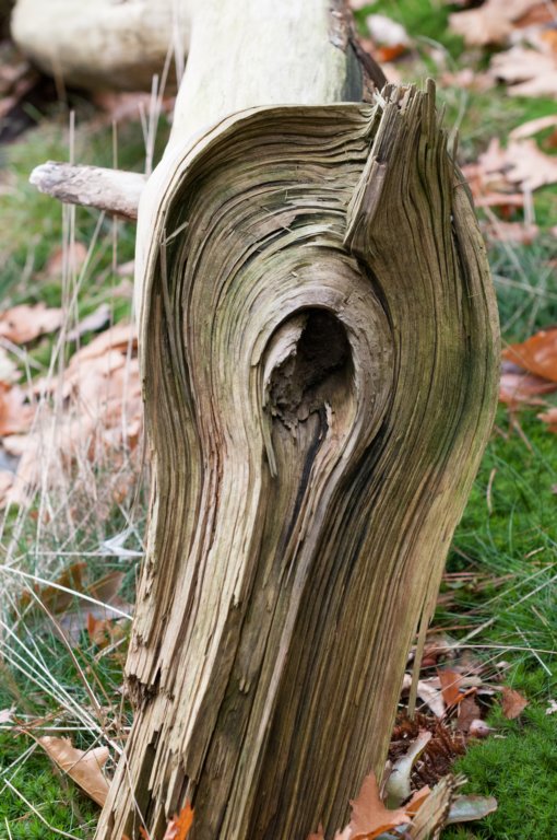 dendolder_090.jpg