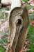 dendolder_090_small.jpg