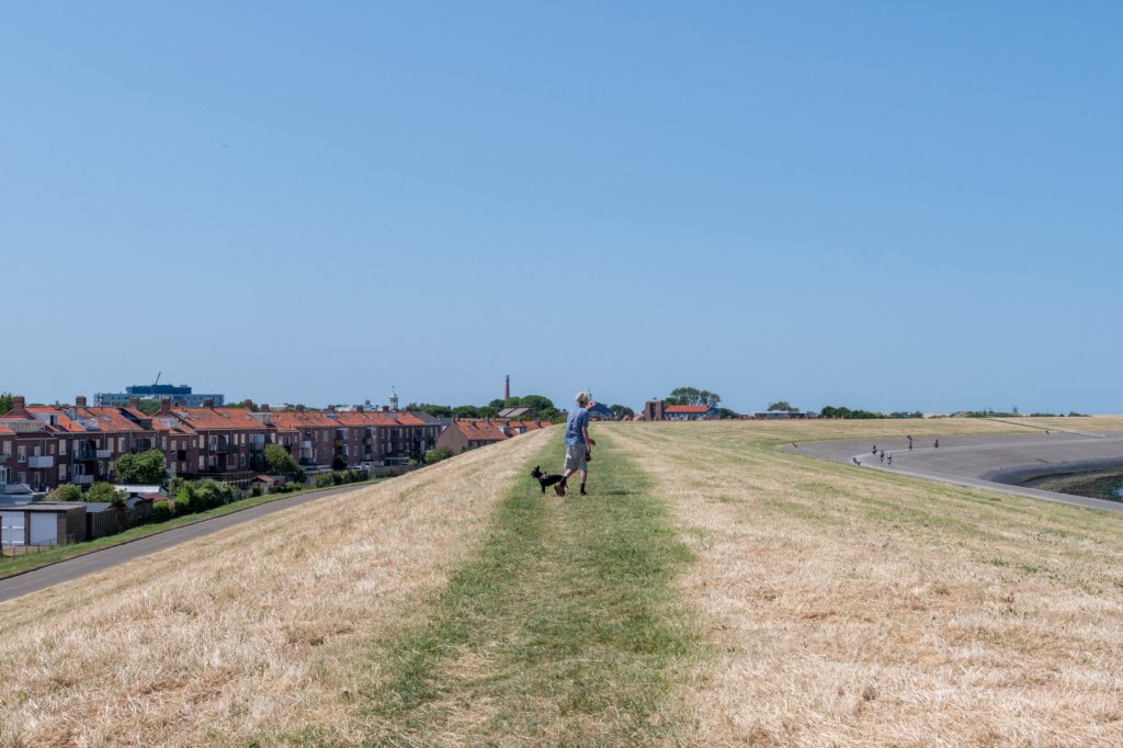 denhelder_003.jpg