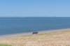 denhelder_004_small.jpg