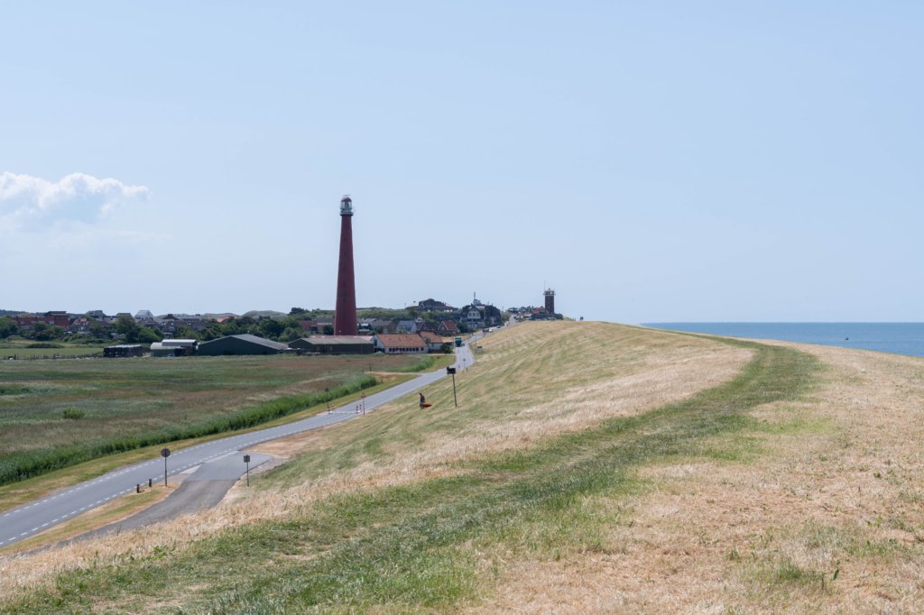 denhelder_009.jpg
