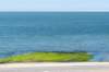 denhelder_012_small.jpg