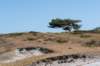 denhelder_024_small.jpg