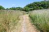 denhelder_031_small.jpg