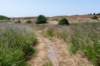 denhelder_032_small.jpg