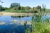 denhelder_035_small.jpg