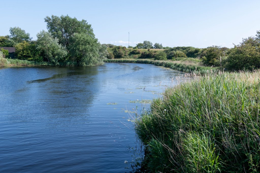denhelder_038.jpg