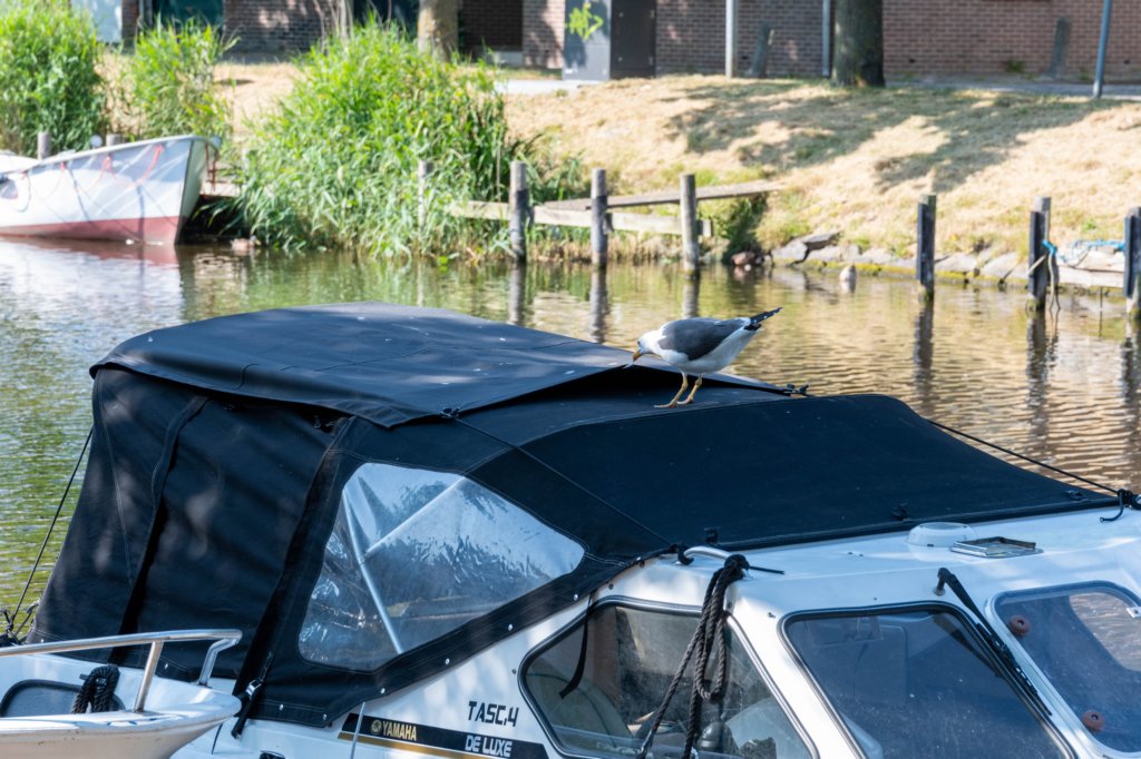 denhelder_040.jpg