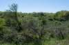 castricum3_001_small.jpg