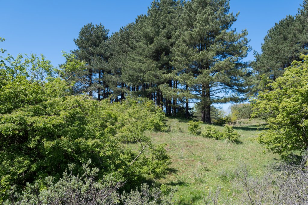 castricum3_002.jpg