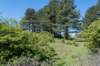 castricum3_002_small.jpg