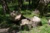 castricum3_004_small.jpg