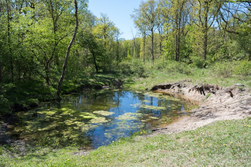castricum3_005.jpg