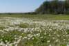 castricum3_007_small.jpg