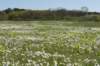 castricum3_008_small.jpg