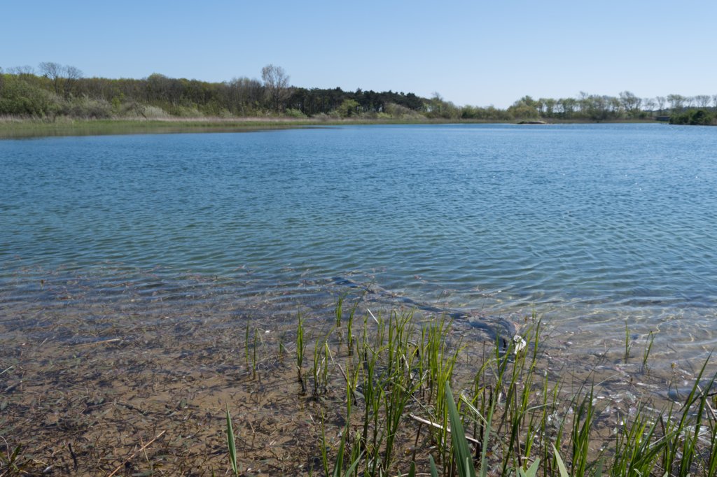 castricum3_009.jpg