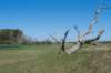 castricum3_011_small.jpg