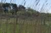 castricum3_014_small.jpg