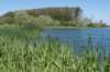castricum3_015_small.jpg
