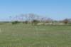 castricum3_016_small.jpg
