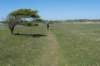 castricum3_018_small.jpg
