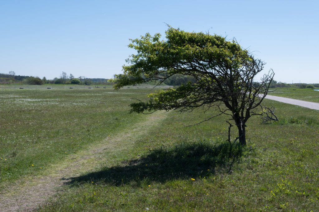 castricum3_019.jpg