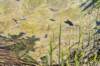 castricum3_020_small.jpg