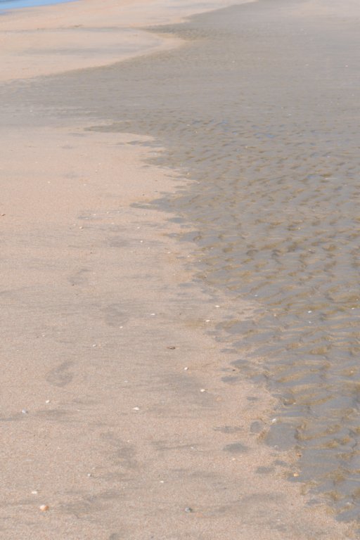 castricum3_026.jpg
