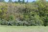 castricum3_028_small.jpg