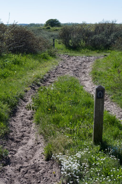 castricum3_030.jpg