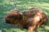 castricum3_033_small.jpg