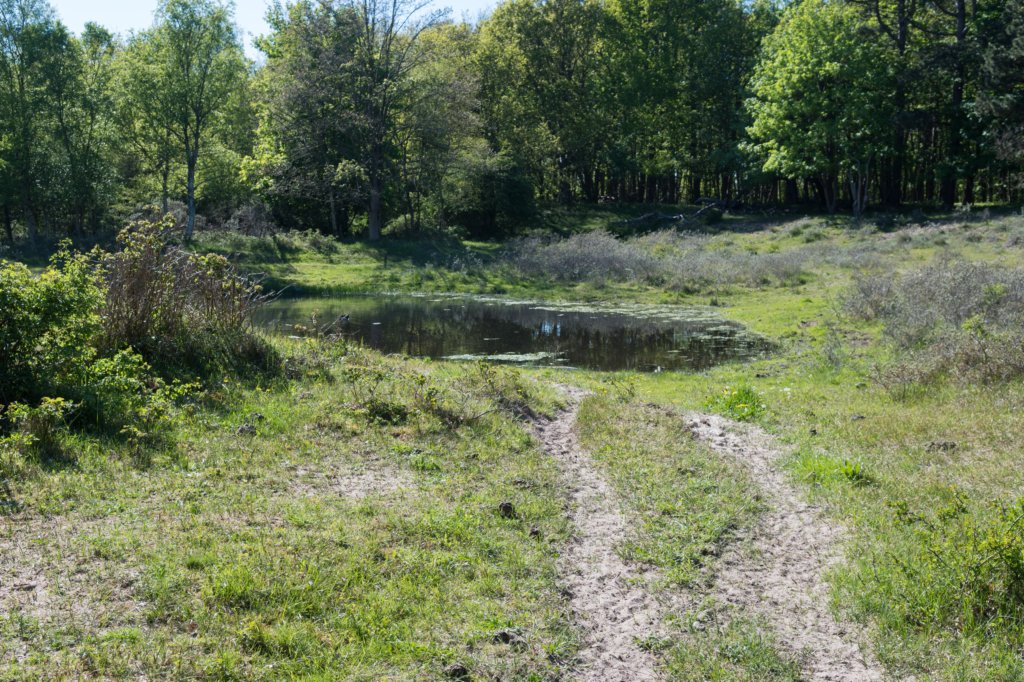 castricum3_034.jpg