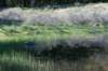 castricum3_035_small.jpg