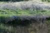 castricum3_036_small.jpg