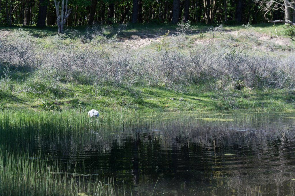 castricum3_037.jpg