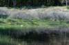 castricum3_037_small.jpg