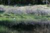 castricum3_038_small.jpg