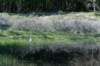 castricum3_039_small.jpg