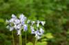 castricum3_040_small.jpg