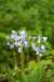 castricum3_041_small.jpg