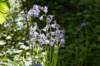castricum3_042_small.jpg