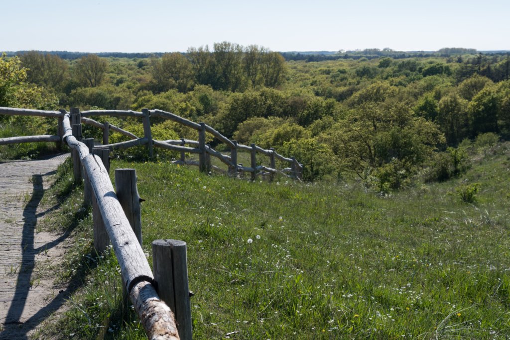 castricum3_043.jpg