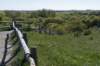 castricum3_043_small.jpg