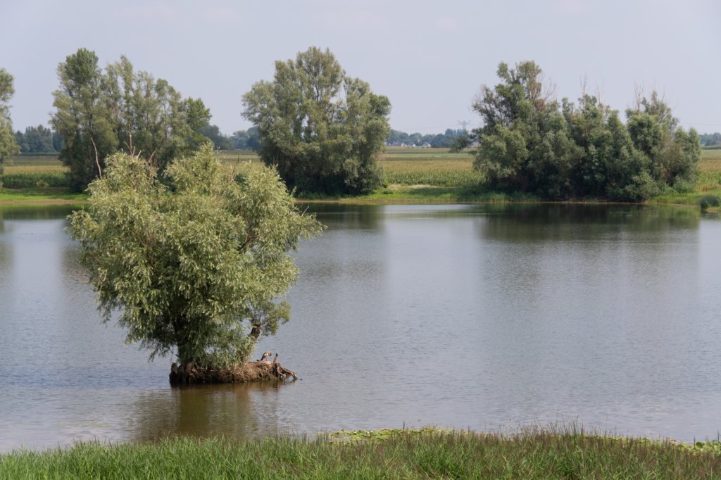 doornenburg_0001.jpg