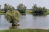 doornenburg_0001_small.jpg