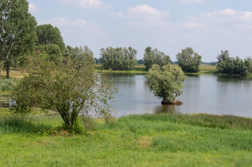 doornenburg_0002.jpg