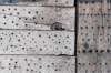 doornenburg_0008_small.jpg