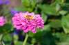 doornenburg_0011_small.jpg