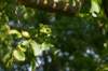 doornenburg_0016_small.jpg