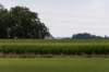 doornenburg_0027_small.jpg